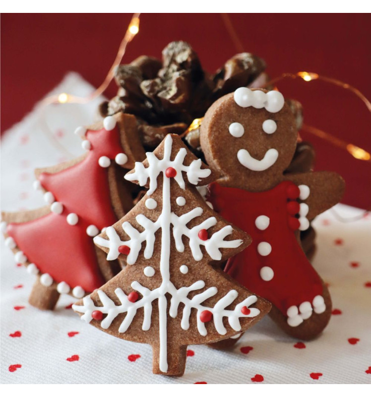 Coffret Biscuits de Noël