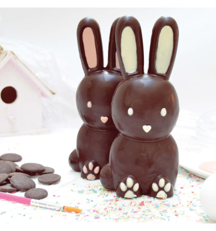 3D chocolate mould Rabbit - ScrapCooking®