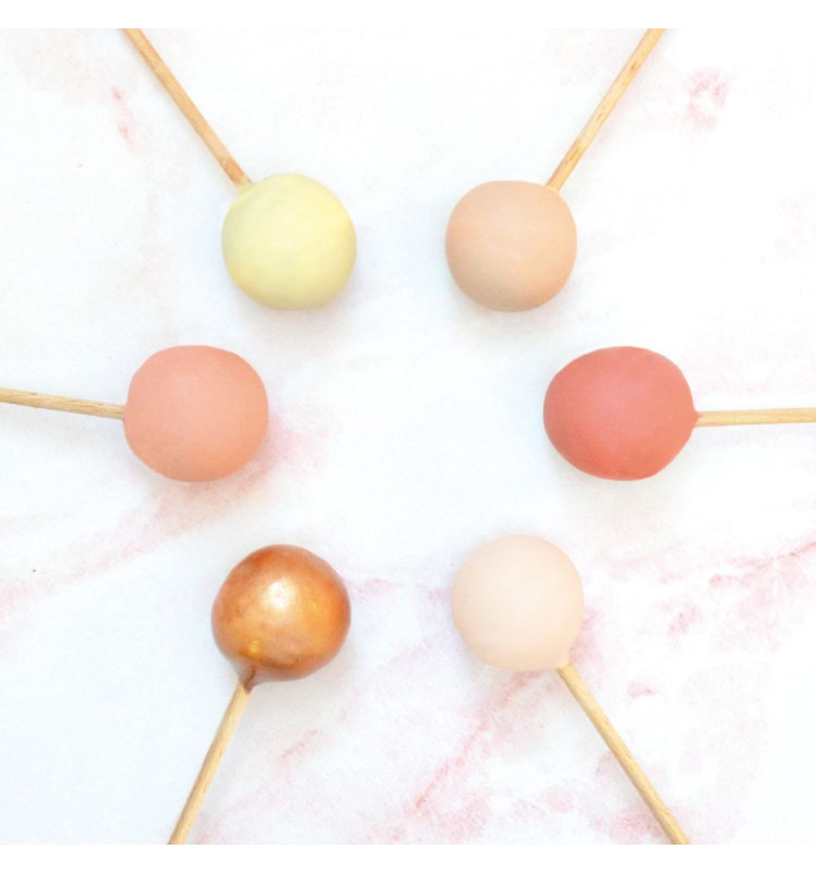 Cake pops colorés Moule en silicone 12 cake pops - ScrapCooking