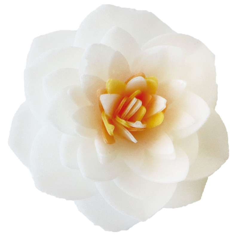 4 White Camellias in wafer paper | Floral Cake Decorations