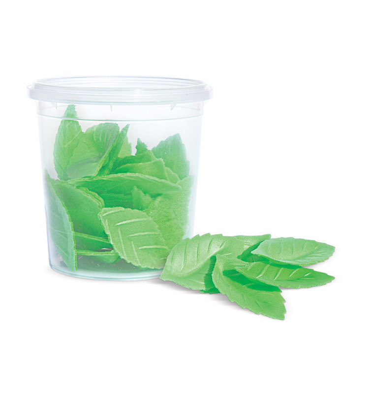 24 green leaf edible wafer decorations