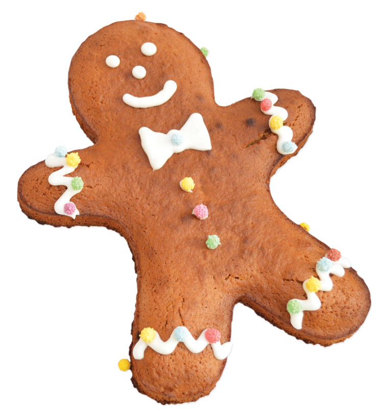 XXL DIY Gingerbread Man