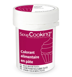 Colorant alimentaire en pâte prune 20g - ScrapCooking