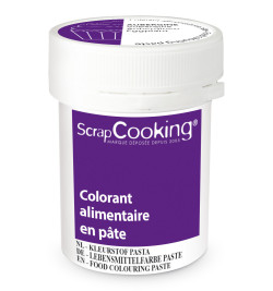 Colorant alimentaire en pâte aubergine 20g réf.4257