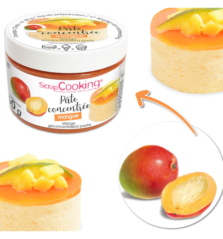 Pâte concentrée de fruits Mangue rf;4752